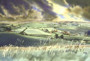 Light emerging... Dorset by Liz Hankins
